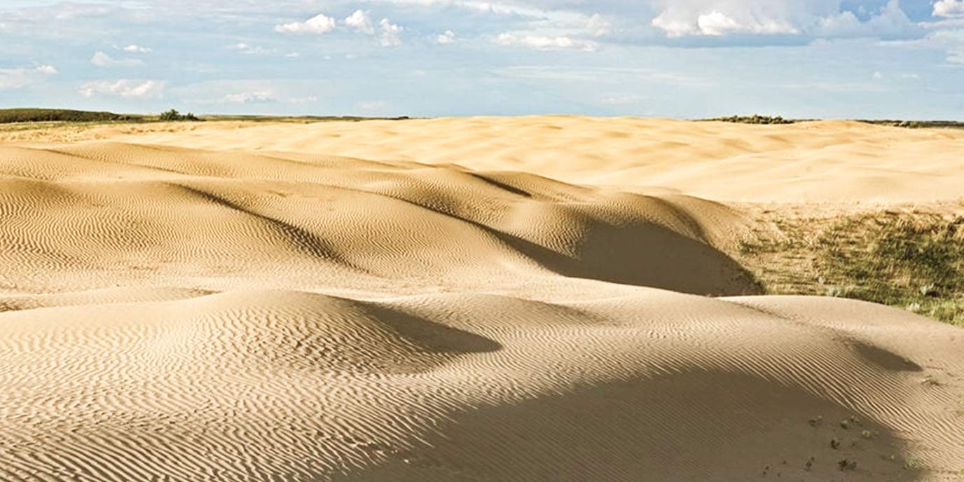 Athabasca Sand Dunes