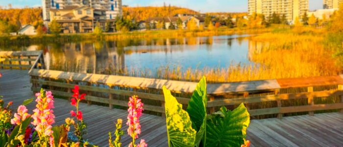 Fort McMurray Borealis Park